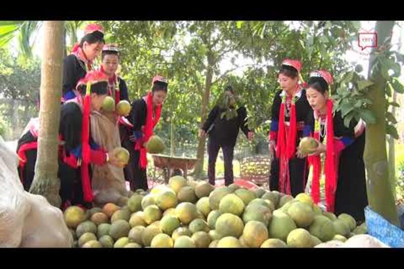 Nghị quyết 03/NQ-HĐND của HĐND tỉnh Tuyên Quang giúp nhiều hộ dân ở Yên Sơn thoát nghèo